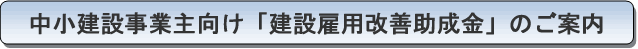 中小建設事業主向け「建設雇用改善助成金」のご案内
