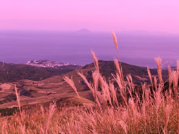 満点の空・海は東伊豆（写真提供：東伊豆町）