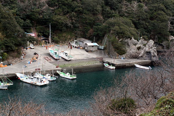 神社へ行く途中の遊歩道から見た港