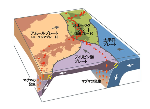 なまこ壁の家