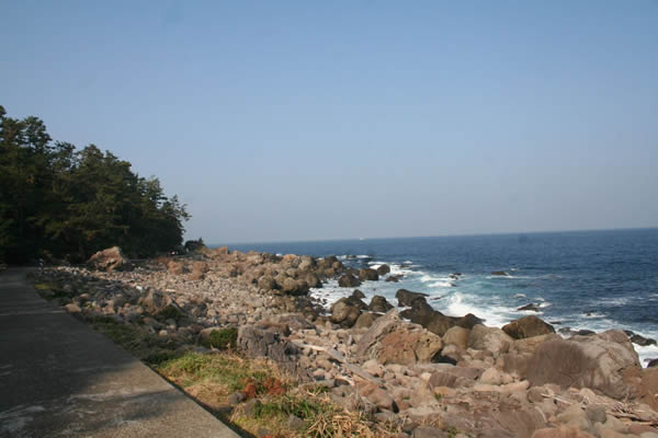 宝福寺と木造の竜馬像