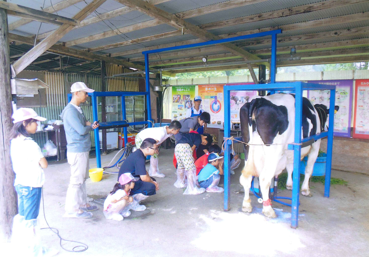 松下牧場体験7月の夏季合宿
