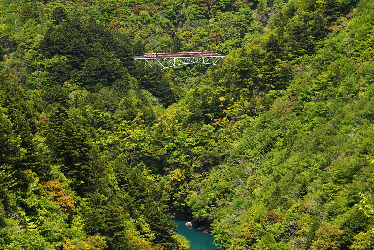 温泉街対岸より