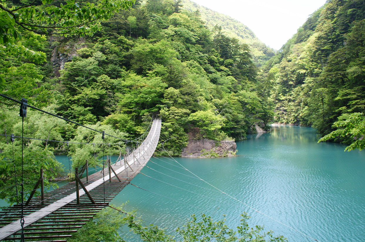 温泉街対岸より