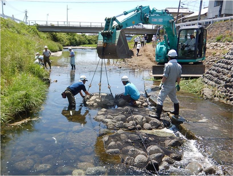 生き物にもやさしい川づくり（庵原川）